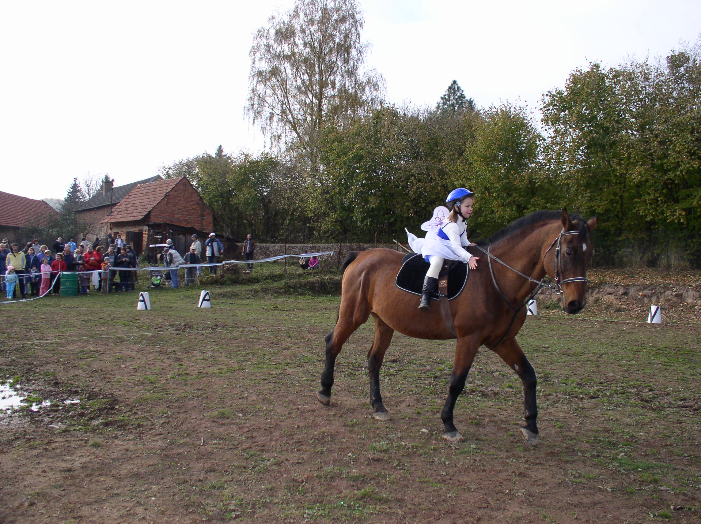 Eliška Vydrová Hubert 2008